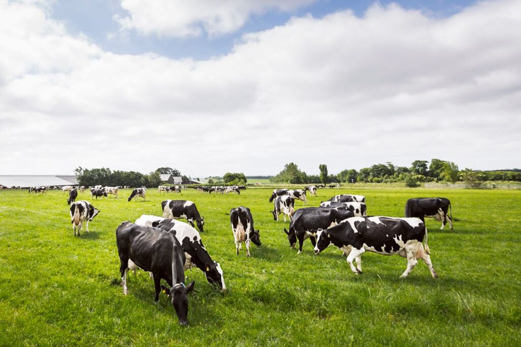 spot-spray-onkruid-spuiten